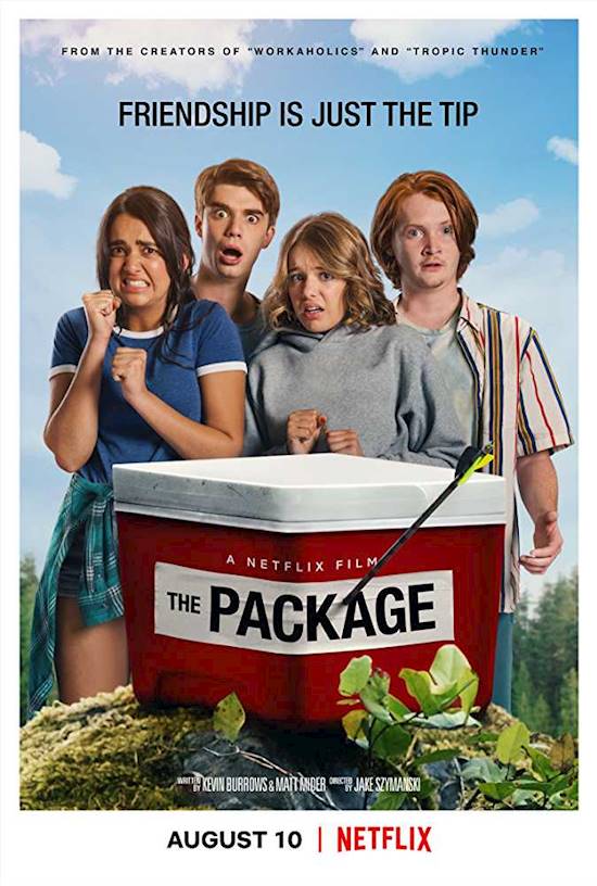 Poster of movie: The Package