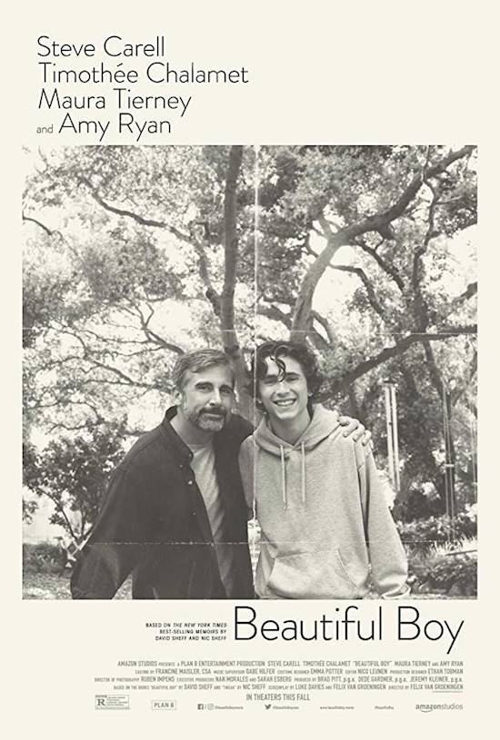 Poster of movie: Beautiful Boy