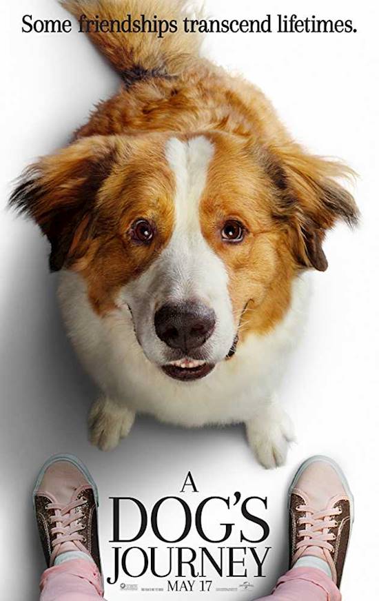 Poster of movie: A Dogs Journey