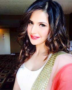 Photo of Zareen Khan