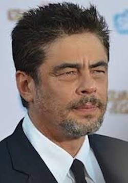 Photo of Benicio del Toro