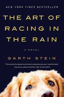 Poster of The Art of Racing in the Rain